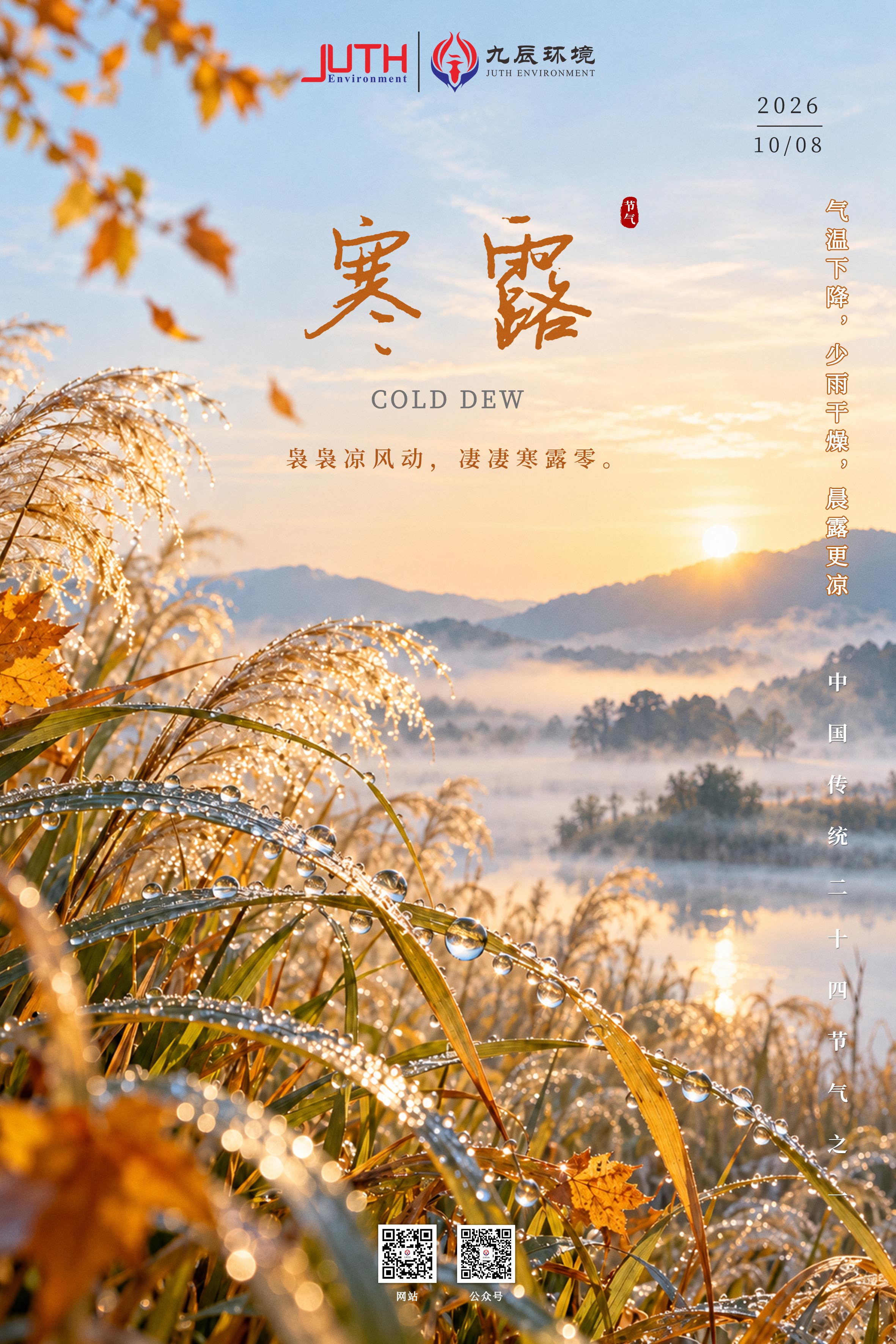 寒露节气海报.jpg